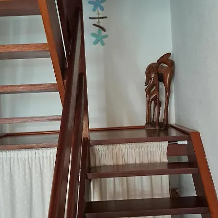 Paraiso 46 Lejlighed